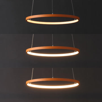Brice Modern Contemporary Iron Integrated LED Pendant